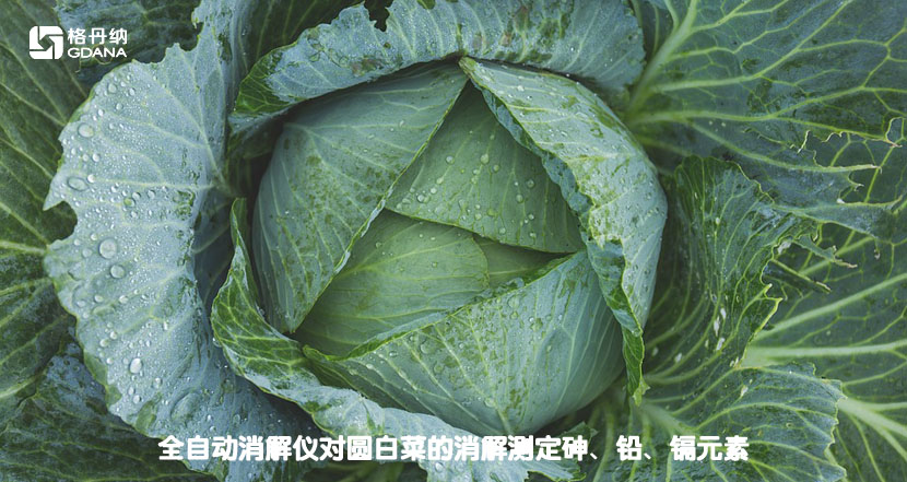 全自動消解儀對圓白菜的消解測定砷、鉛、鎘元素