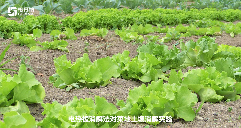 電熱板消解法對菜地土壤消解實(shí)驗(yàn)